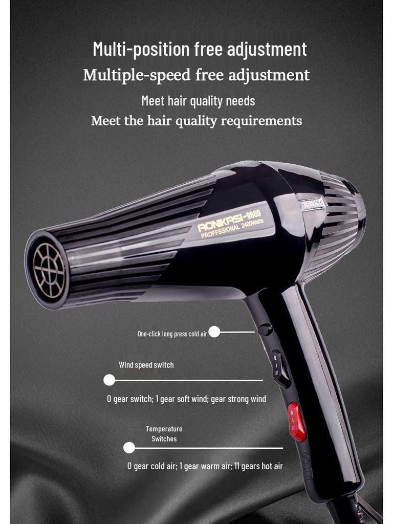 9869 Salon-Quality High Power Hair Dryer with Constant Temperature & Dual Air Modes