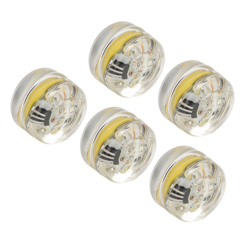 5Pcs Underwater Lure Lamp Compact Lightweight Waterproof LED Fishing Bait Light for Fresh Water