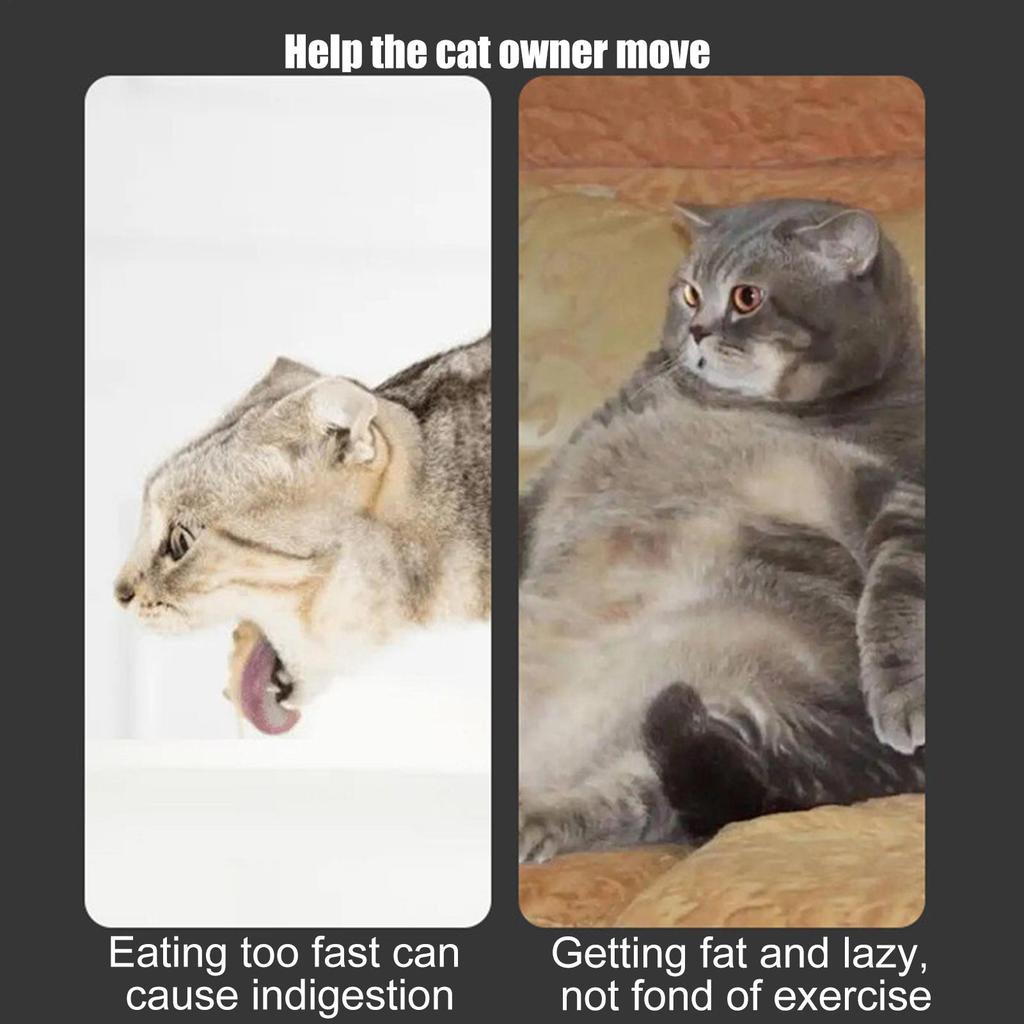 Hundeleckerliball Haustierfutterspender Holzbahn Mit Federstab Katzenleckerliballspender Für Zuhause Spiel Mittelgroße Große Rasse Welpe