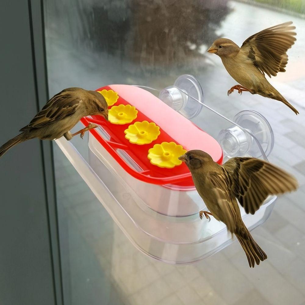 Visible Bird Water Drinker Refillable Hummingbird Water Dispenser Bird Water Station  Window