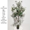 Olive Tree Potted Plant - Indoor Decor Simulation for Living Room
