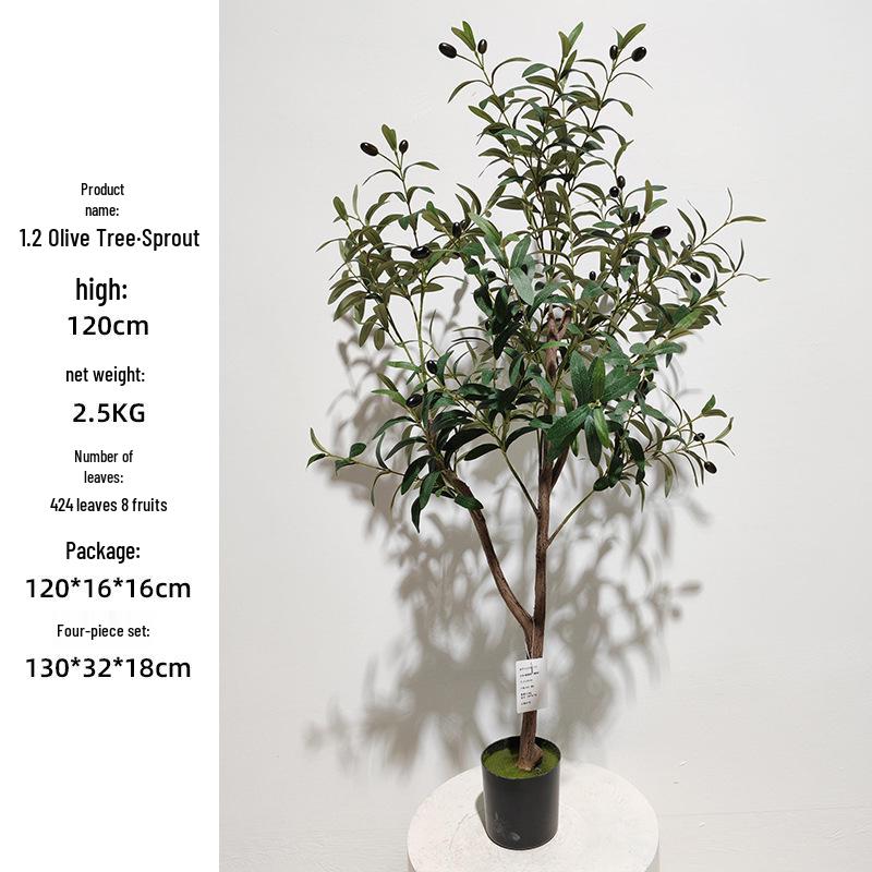 Olive Tree Potted Plant - Indoor Decor Simulation for Living Room