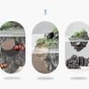 Landscape Hallowed Cave Hideouts Fish Tanks Decorations for Aquariums Terrarium Shrimp Caverns Stone Ornaments