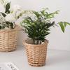 Woondecoratie – Bloempotten