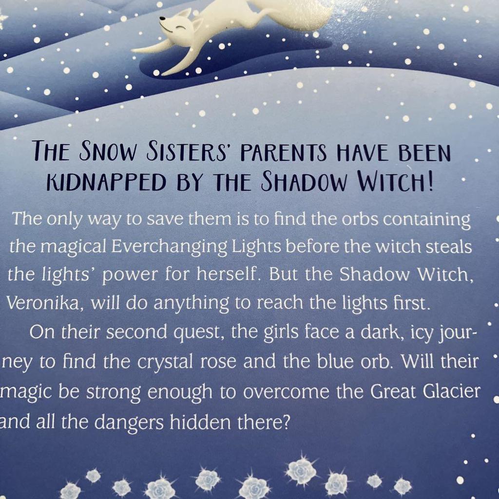 [USED] SNOW SiSTERS 2-book set chapter book