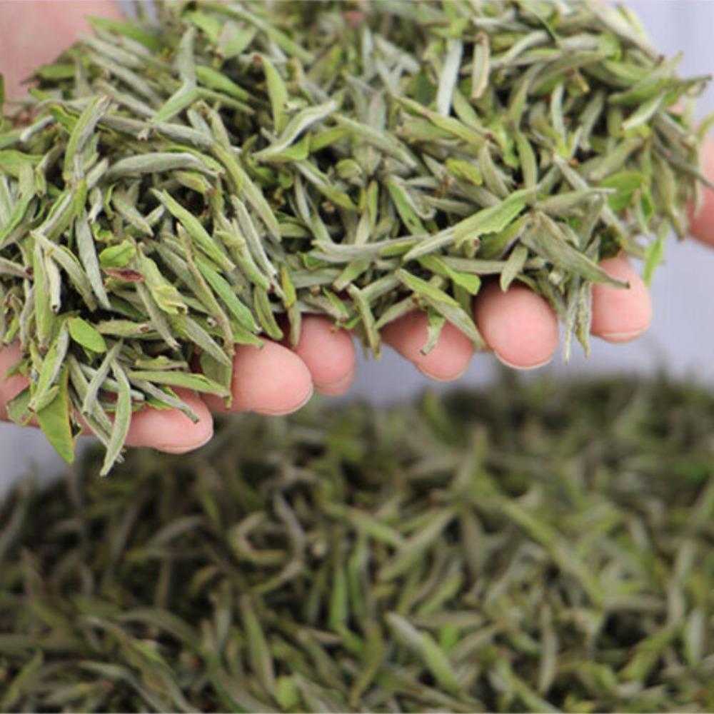 Natural Spring Harvest Shou Mei White Tea Loose Leaf 500g Herbal Energy Tea for Men Women 01