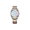 Eco-Drive Series Fashionable Business Waterproof Solar Quartz Steel Strap 41mm Women's Watch Silver Dial EW2456-88D