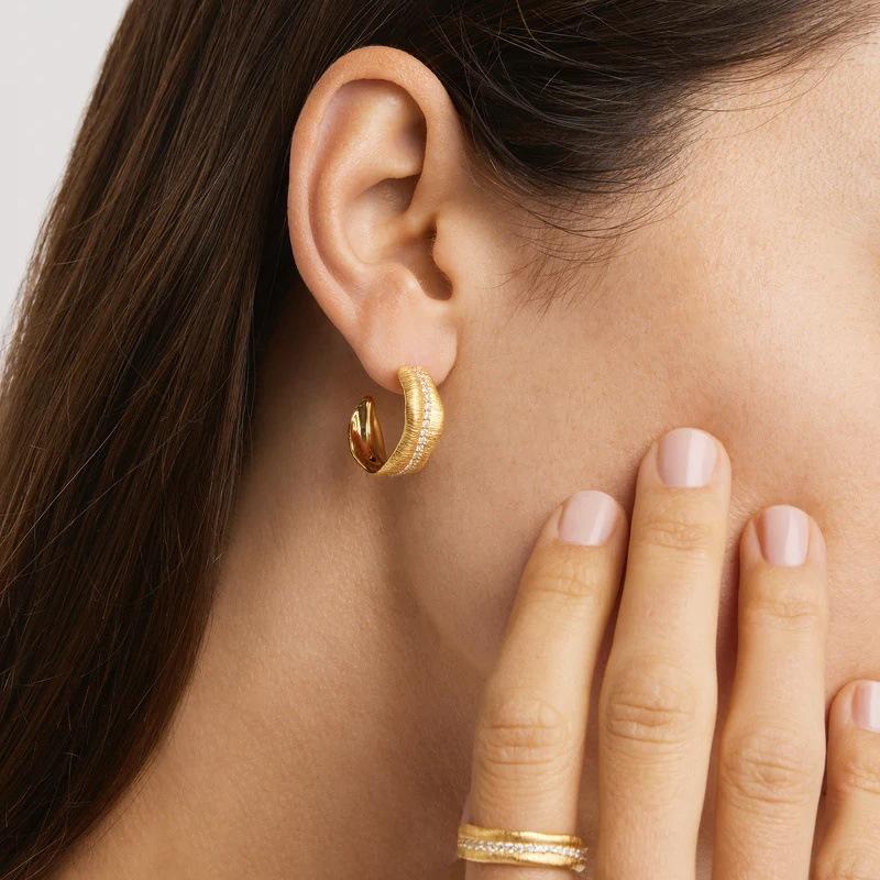 Light Luxury Retro Metal Brushed Banana Leaf Inlaid Zircon Earrings S925 Silver Needle Stud Earrings High-End Temperament Earrings