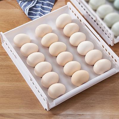 18-hole Egg Tray with Automatic Air Hole Cleaning