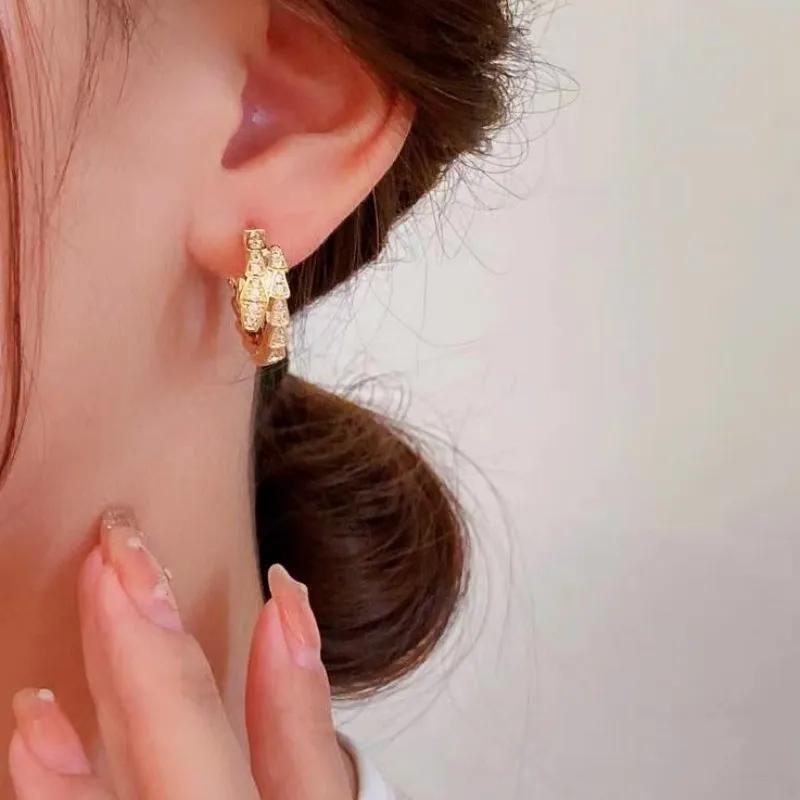 Luxurious Fashionable Super Sparkling Snake Form Hoop Earrings For Women High End Design Sensibility Niche Trendy Web Earrings