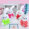 Entzückender Schleifenbär und Hase Plüschschlüsselanhänger für Taschen Niedliches Cartoon-Plüschtier