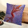 A-Alex G-Grey Trippy Cushion Cover Soft Short Plush Pillow Cover Smooth Cozy Texture Aesthetic Cushion Case Home Decor