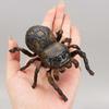 Bee Beetle Chain Winding Insect Toys Plastic Animals Wind Up Insect Insect Model Toy  Kids Toy