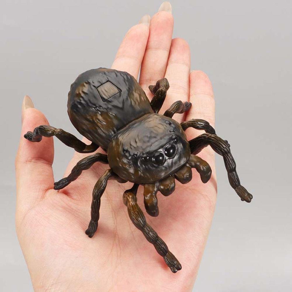Bee Beetle Chain Winding Insect Toys Plastic Animals Wind Up Insect Insect Model Toy  Kids Toy
