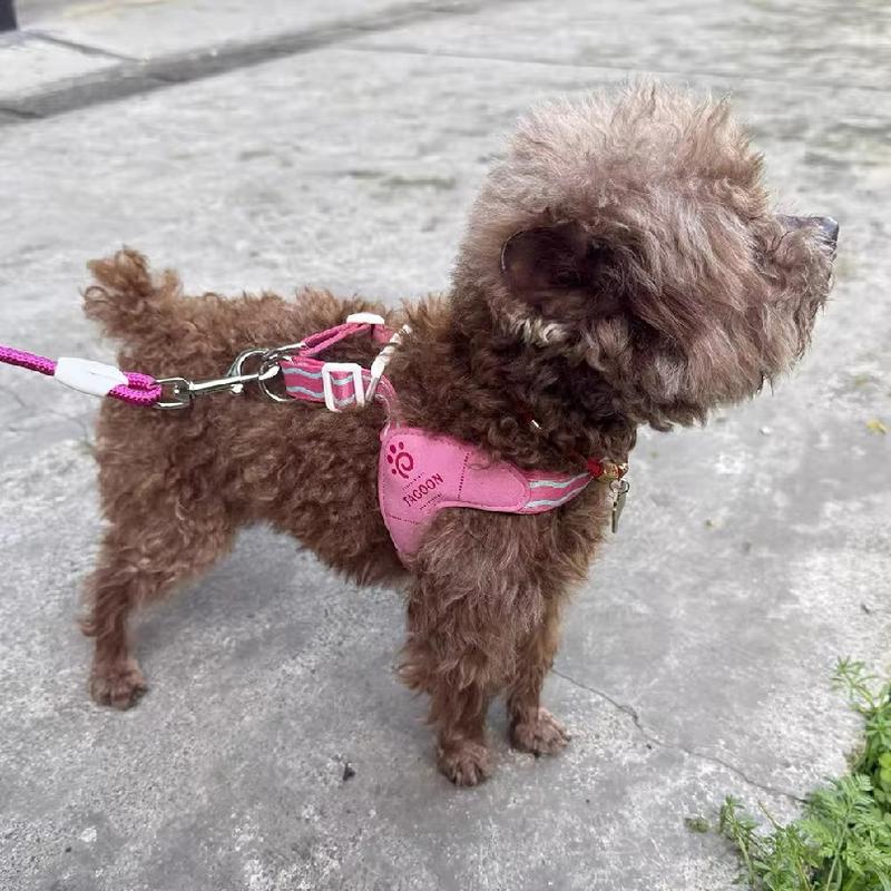 Spring Summer Cat Puppy Harness Wear Simple Mesh Breathable Outdoor Pet Dog Walking Supplies Chihuahua Corgi Saddle Chest Straps
