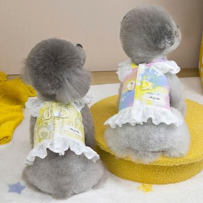 Vêtements et chaussures – Robes pour chien