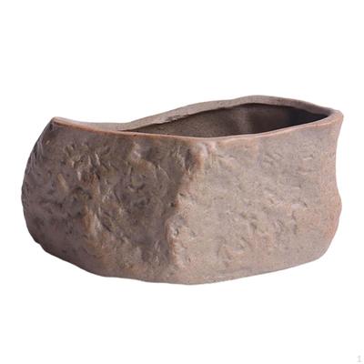 Pot Bonsai Plant Wear-resistant Planter Container Plants Growing for Garden Desk