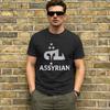 Assyrian Flag Tshirts Men Humor 100 Cotton Tees Crew Neck Short Sleeve T Shirts Plus Size Clothing