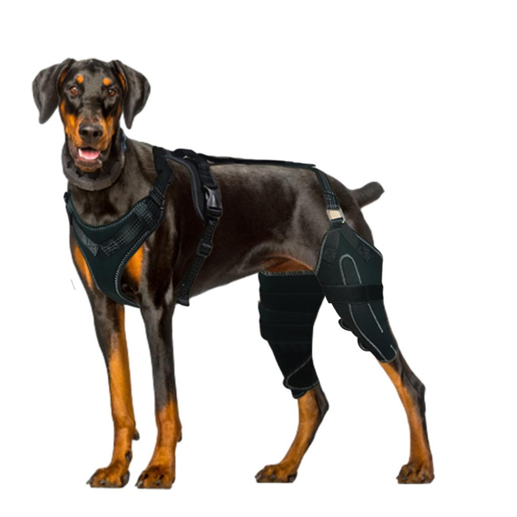 Adjustable Dog Legs Brace Prevents Wounds and Provide Warmth for Recovery Against Licking Assists In Healing Brace