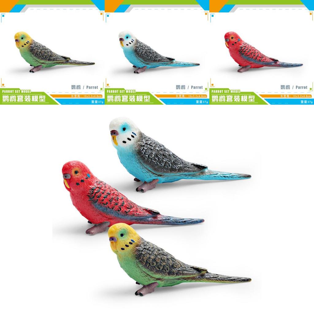 Wildlife Bird Simulation Pvc Model Parrot Toy For Children Educational Play