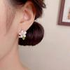 Exquisite Pink Floral Stud Earrings Set - Luxurious, Versatile Six-Piece Collection