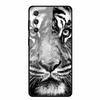 For Samsung Galaxy S25 Plus Case Hard Back Cover Tempered Glass Case For Samsung S25 Plus M55 A16 5G Phone Case Soft TPU Bumper