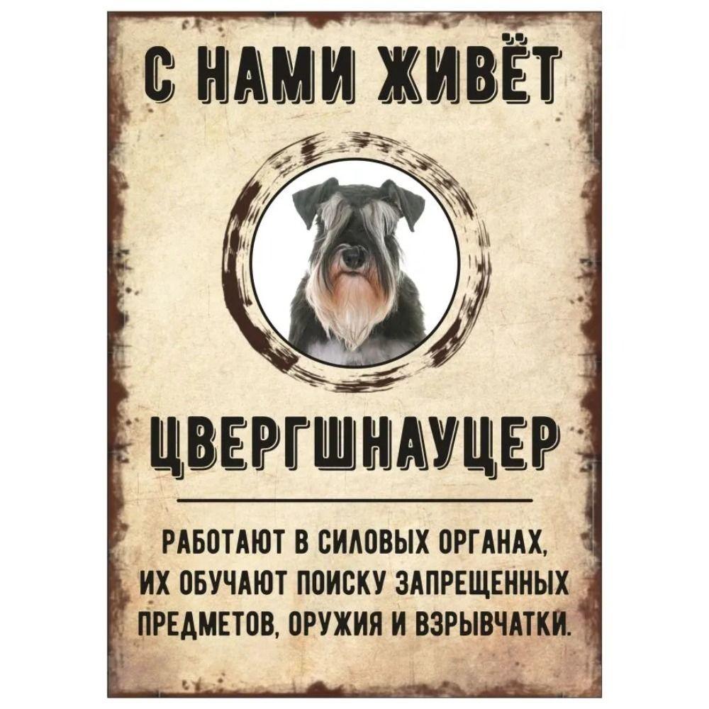 Schild, dekorativ, GEFAHR HUND, Schnauzer lebt bei uns, 20x30cm