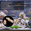 Aquarium Fish Tanks Seawater Large Particles Dog Bone Degradable NP Biological Bean Machine Filter
