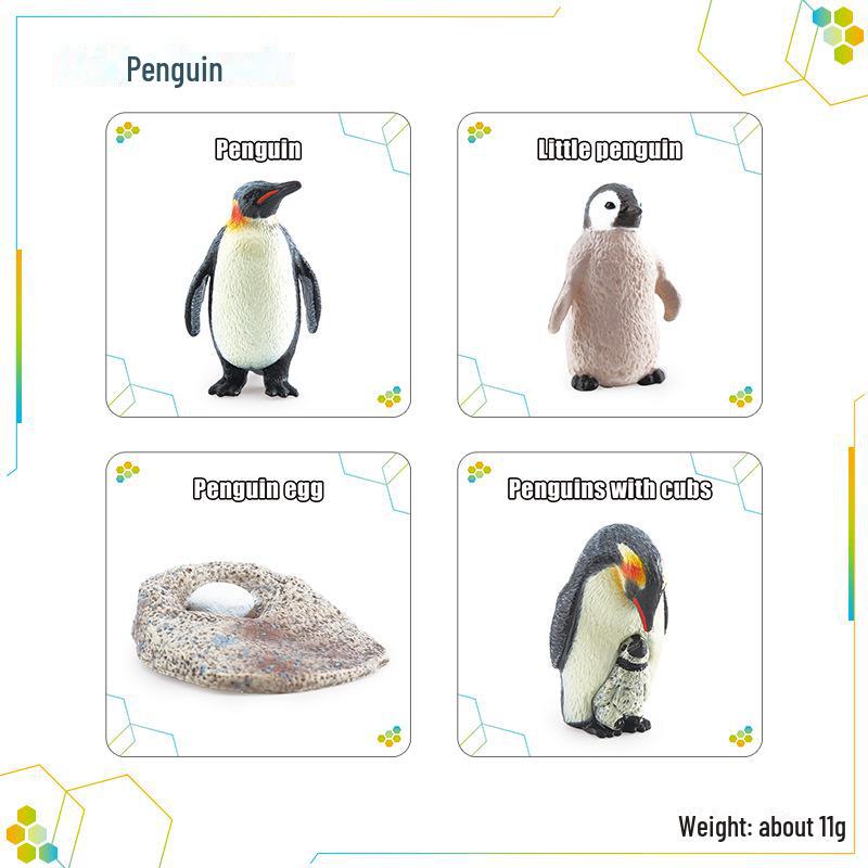 Трансграничная детская игрушка: Моделирование циклов роста животных и растений