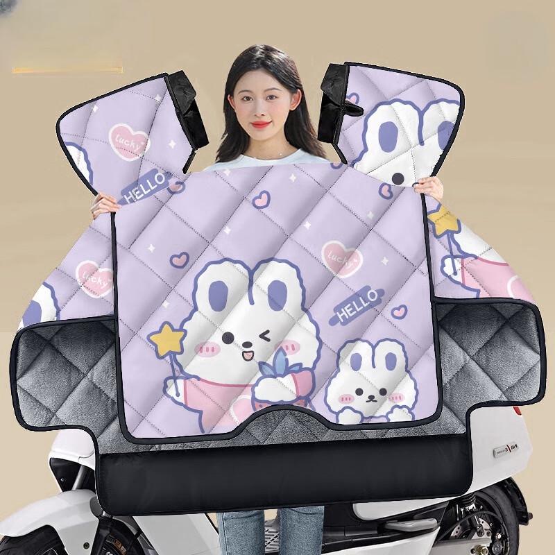 Liansu Life Extra Thick Winter Windproof Cover