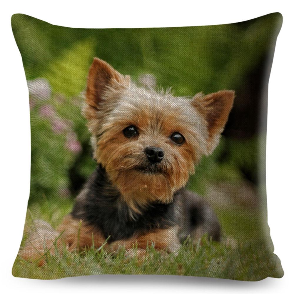 Cute MINI Dog Cushion Cover Decor Pet Animal Printed Pillowcase Polyester Pillow Case for Sofa Home Car Cm