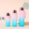 Gradient Color Sports Water Bottle - Portable Large Capacity Direct Drink Cup