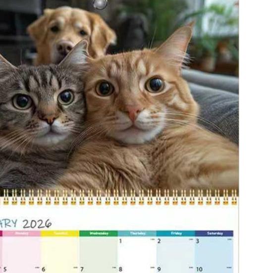 2026 Wall Calendar Funny Cats Wall Hanging Calendar Jan.2026 - Dec.2026 12-Month Planner for Home Office