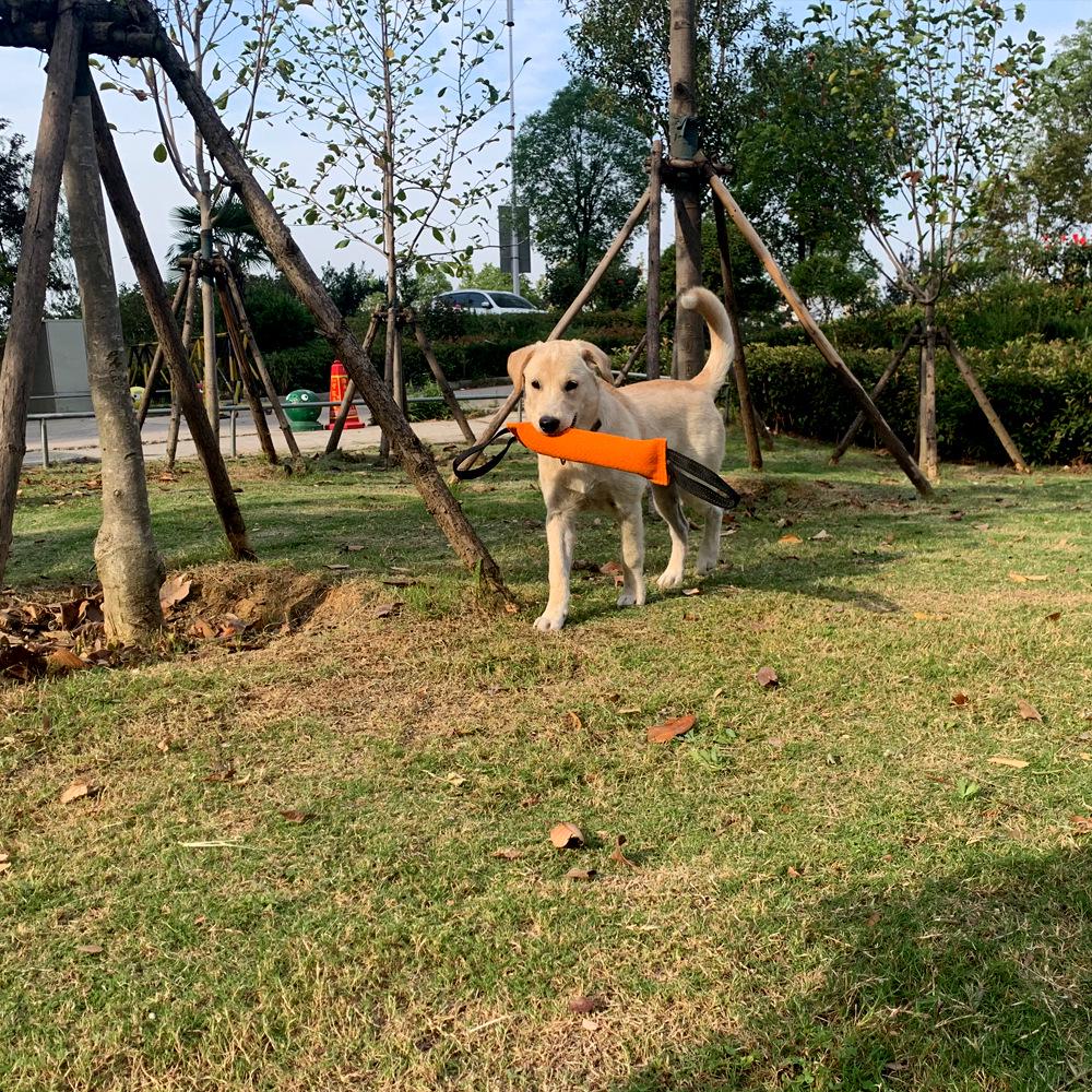 TEMU Dog Training Tear-Resistant Bite Stick: Interactive Tug-of-War, Fetch, and Chew Toy for Pets.
