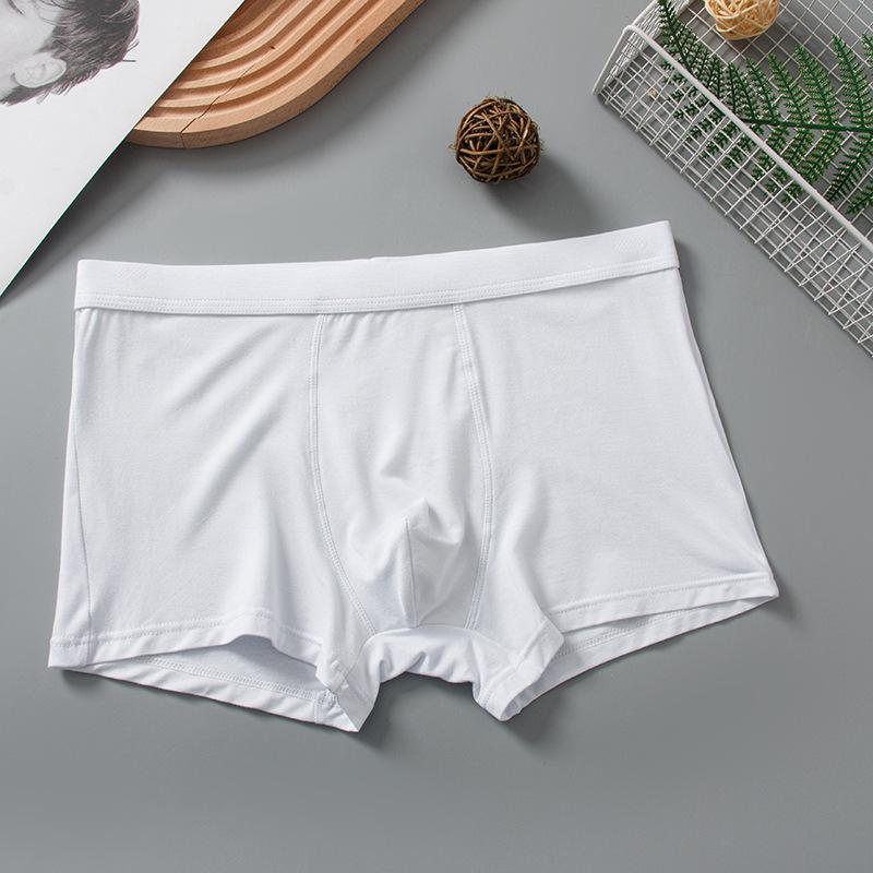 Big Size Men's Underwear Bamboo Fiber Panties Boxer Briefs Modal Underpants Boy Undies White Undershorts Solid Color Knickers Trunks L XL 2XL 3XL 4XL