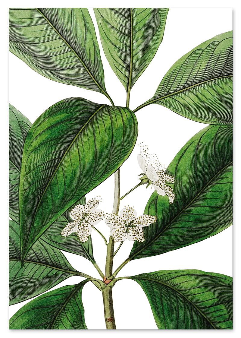 

Plakat zielony kwiat 30x40 cm