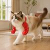 Costume Accessories for Pets Cat Muscle Arms, Hilarious 3D Printed Muscular Pet Shoulder Attachment Feline Cosplay, Fun Photo Props Superhero