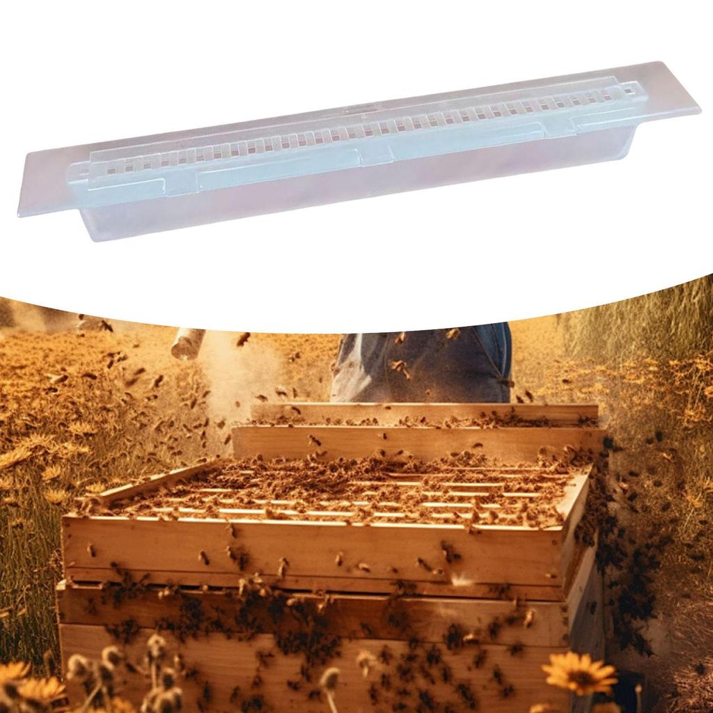 Small Hive Beetle Trap Accessories Convenient Transparent Beekeeper Tool