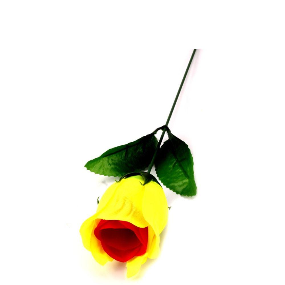 Colorful Rose Discoloration Roses Red Change Yellow Changing Color Rose  Player Magic Props
