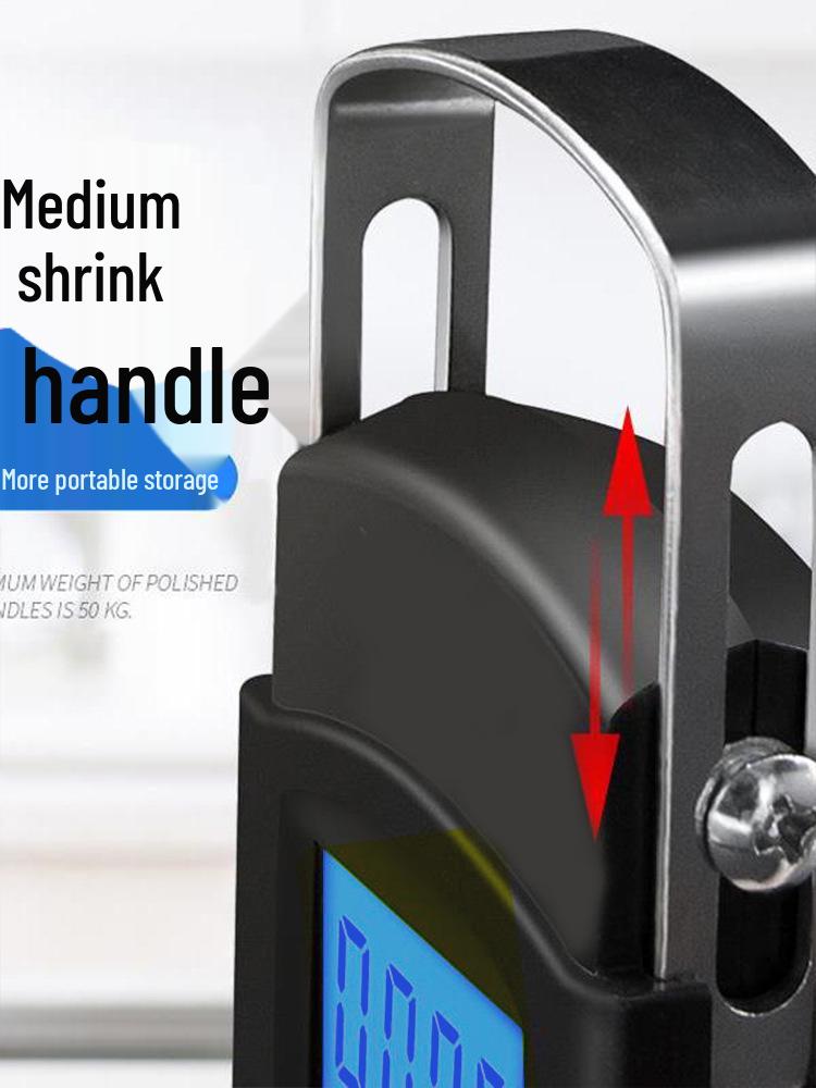 High-Precision Portable Fishing and Vegetable Scale: Compact Handheld Electronic Gram Scale