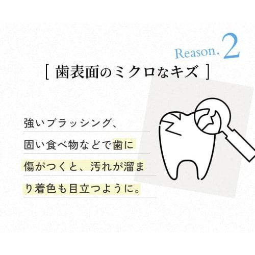 Biken Corporation Medicinal Pearl White Pro Shine Premium 40g