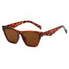 Unisex Cat Eye Sunglasses, UV Protection Fashion Shades, Vintage European Style Sun Glasses, Trendy Eyewear