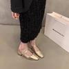 Square Head Versatile Skirt Single Shoes Women's Shoes New Spring and Autumn Thick Heel Mary Jane Single Shoes Grandma Shoes