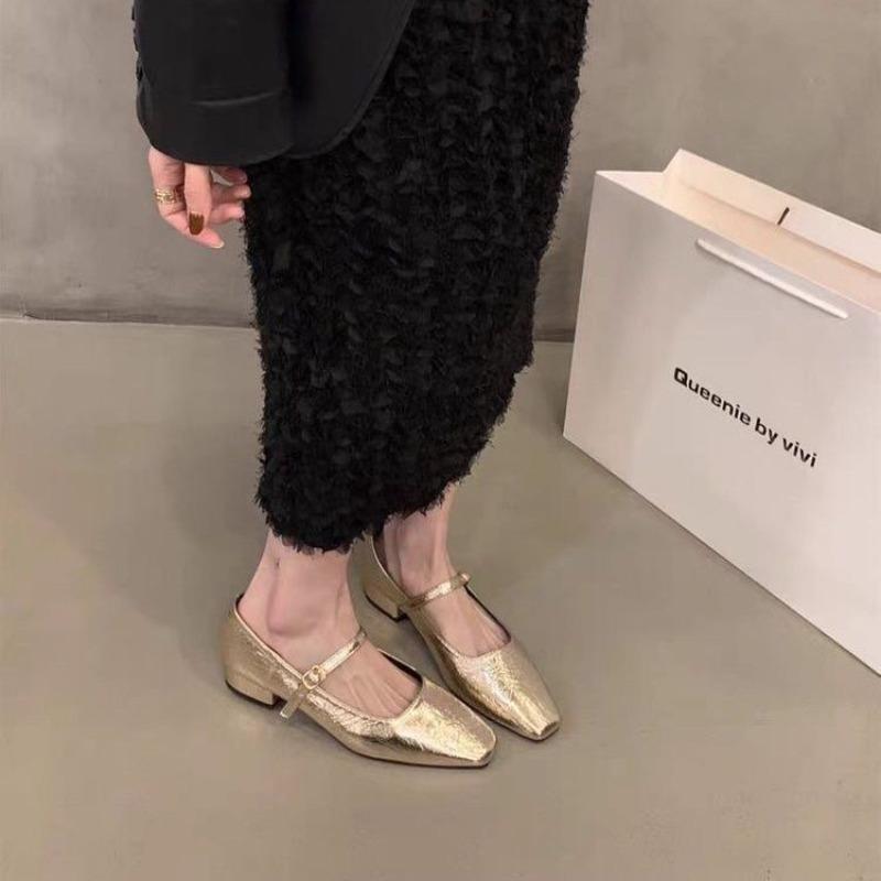 Square Head Versatile Skirt Single Shoes Women's Shoes New Spring and Autumn Thick Heel Mary Jane Single Shoes Grandma Shoes
