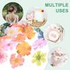 30/50Pcs Artificial Hydrangea Flowers Head Rose Artificial Flower Home Room Decoration DIY Gift Accessories Wreath Wedding Decor