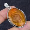 Natural Baltic Amber Gemstone 925 Sterling Silver Jewelry Pendant 2.05" u2K75