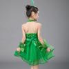 Vestito da Ballo Balletto Bambina Verde Paillettes con Copricapo Polsini Vestito Gonfio Bambine Ragazze