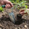 Handheld Seedling Transplanting Plastic Handle Planting Machine Vegetable Planter Efficient Cylinder Seeder Excavator