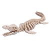 Simulation Dinosaur Fossil Plastic Skeleton Model Children'S Diy Handmade Dinosaur Skeleton Assembly Kit Tyrannosaurus Rex Model