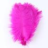 10 Stück Natürliche Straußenfedern 15-45 cm zur Schmuckherstellung Feder Karneval Tischdekorationen Party Hochzeitszubehör Dekoration